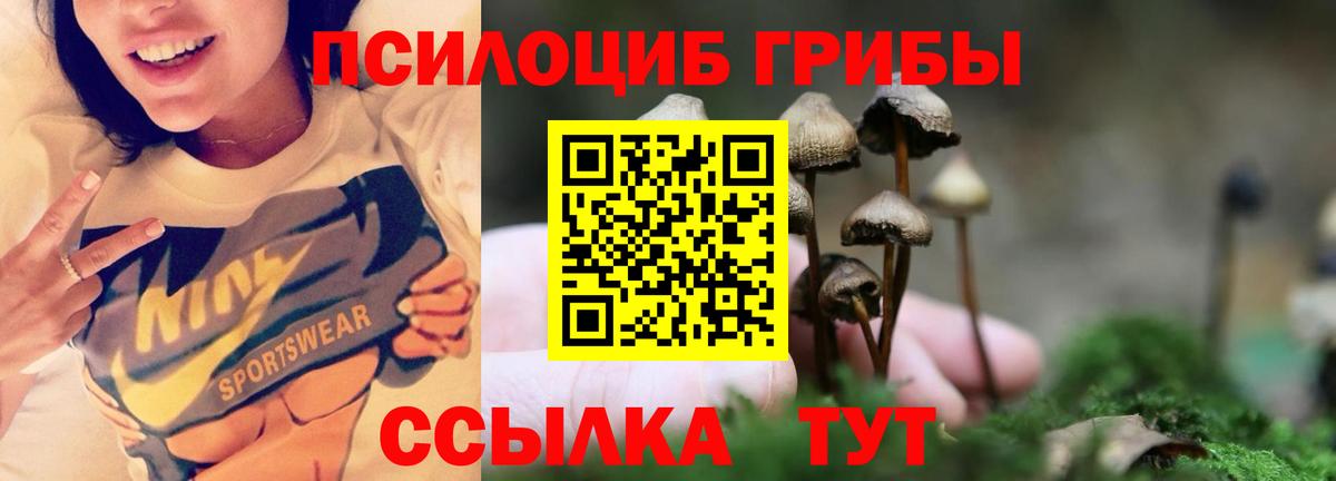 Апрелевка  Галлюциногенные грибы мицелий  Вход с VPN 
